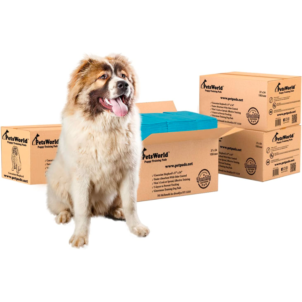 PetsWorld 37x54 Inch Pee Pads: 3XL Tear-Resistant & Leak-Proof_400 Count