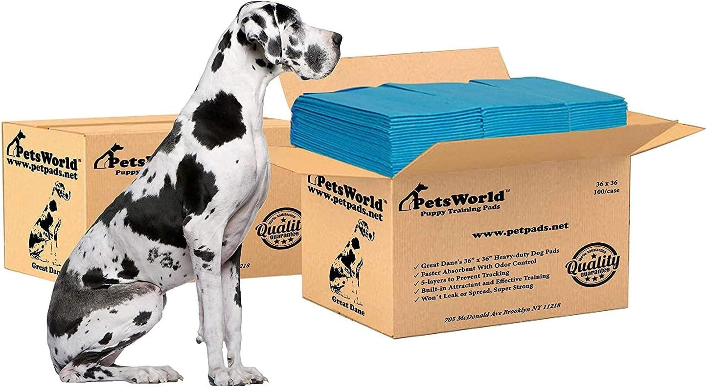 PetsWorld Gigantic (36x36 inch) Dog Training & Potty Pads_400 Count