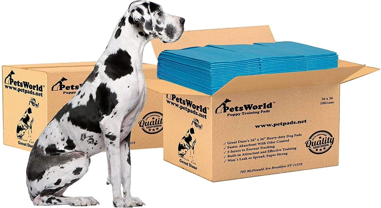 PetsWorld Gigantic (36x36 inch) Dog Training & Potty Pads_200 Count