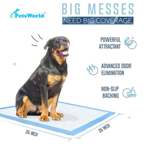 Wholesale Gigantic Dog Training & Potty Pads (36x36 inch)_