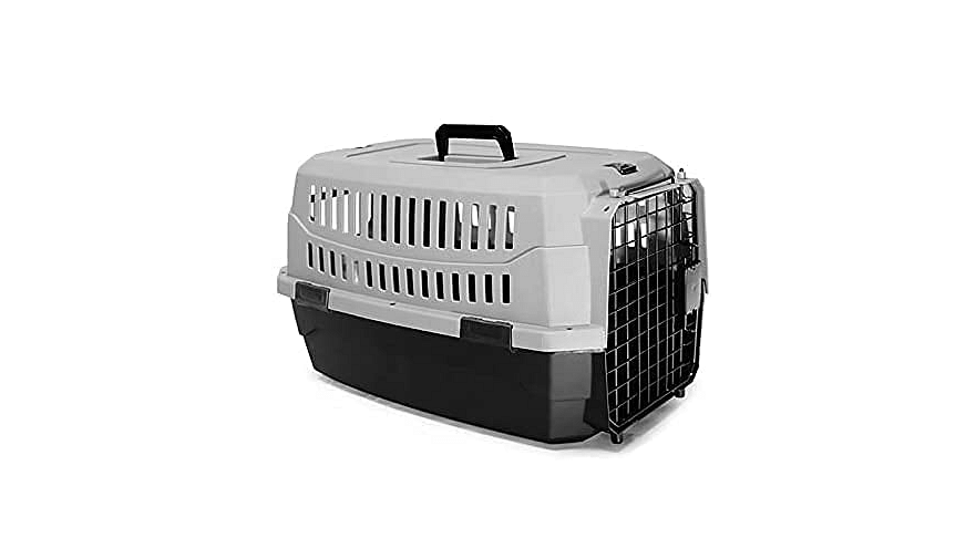 Pet Travel Carrier