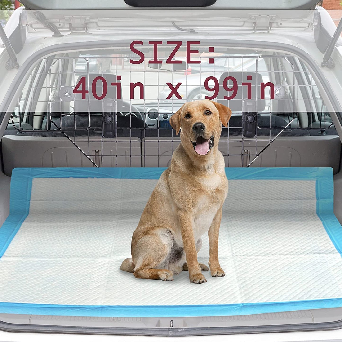 PetsWorld 4XL (40x99 inch) Dog Training & Potty Pads Pads_