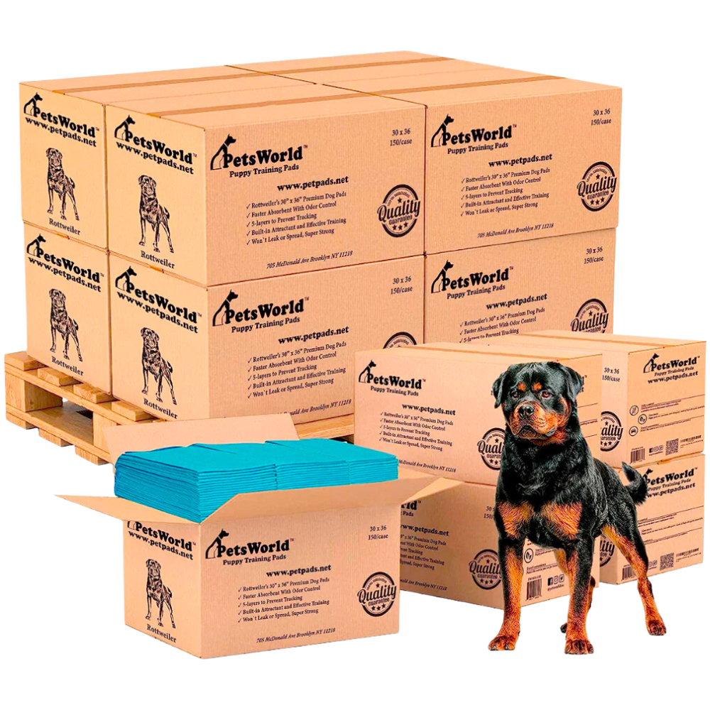 Wholesale Extra Large Dog Training & Potty Pads (30x36 inch)