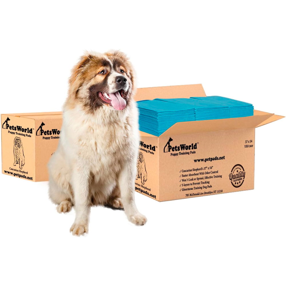 PetsWorld 37x54 Inch Pee Pads: 3XL Tear-Resistant & Leak-Proof_200 Count